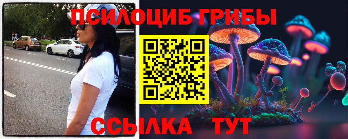 Галлюциногенные грибы ЛСД  Вход с VPN  Избербаш 